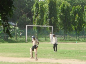 Sunday afternoon cricket